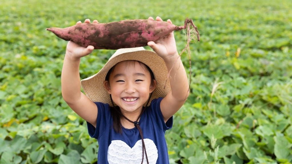 収穫したさつまいもを掲げる子ども