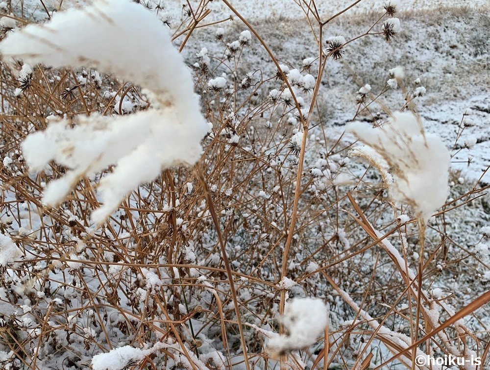 雪景色